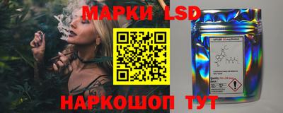 Альфа ПВП Обь