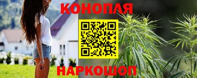 твердый Новодвинск