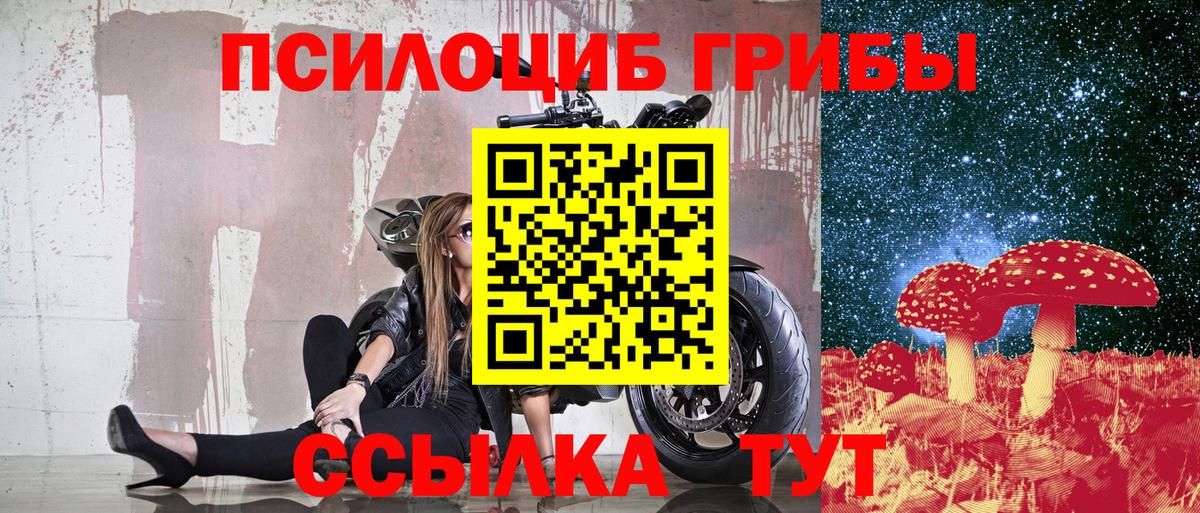 Ставрополь  Псилоцибиновые грибы Cubensis  Вход с VPN  Галлюциногенные грибы ЛСД 